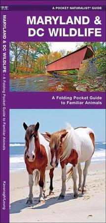 Maryland & DC Wildlife: A Folding Pocket Guide to Familiar Species