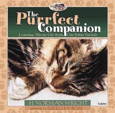 Purrfect Companion: Learning about Life from Our Feline Friends