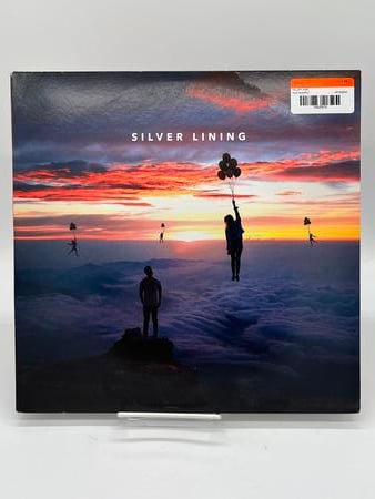 Vinyl Silver Lining