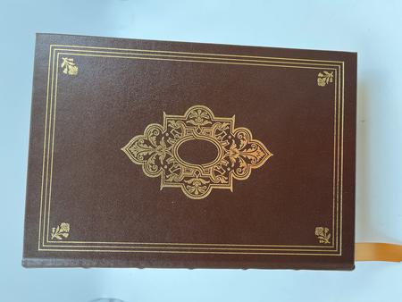 PARADISE LOST VOL 1