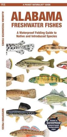 Alabama Freshwater Fishes: A Waterproof Folding Guide to Native and Introduced Species