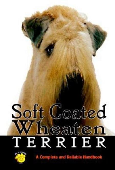 Soft Coated Wheaten Terrier