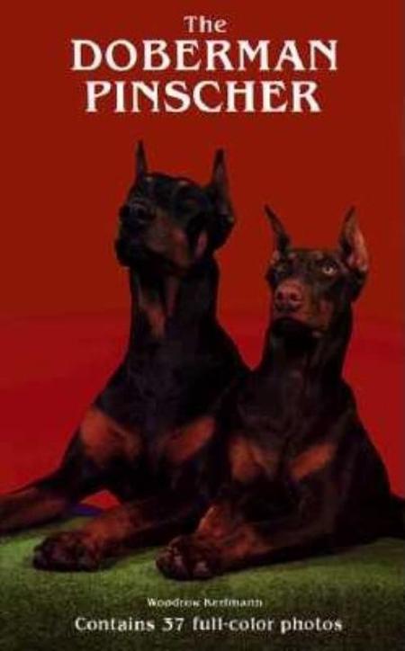 Doberman Pinscherogde
