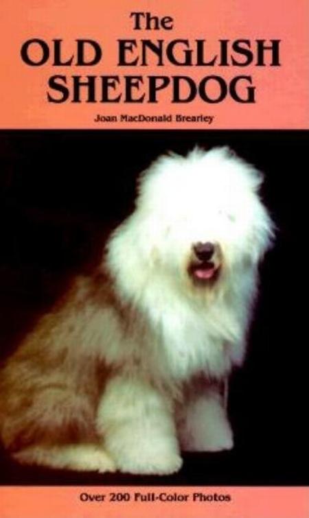 Old English Sheepdog