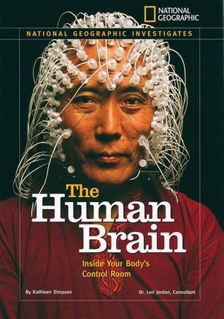 Human Brain: Inside Your Body's Control Room