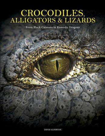 Crocodiles, Alligators & Lizards: From Black Caimans to Komodo Dragons