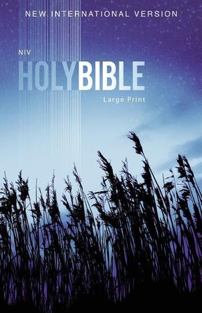 Bi-niv Outreach Bible