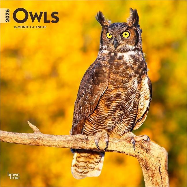 Owls 2026 12 X 24 Inch (Hanging) Monthly Square Wall Calendar Plastic- Free