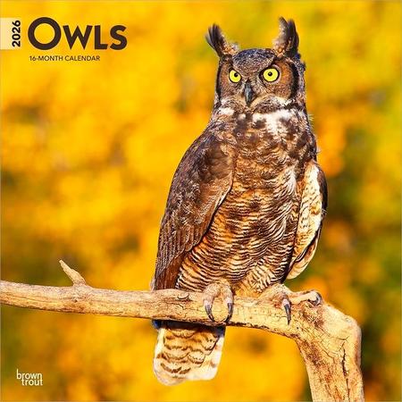 Owls 2026 12 X 24 Inch (Hanging) Monthly Square Wall Calendar Plastic-Free