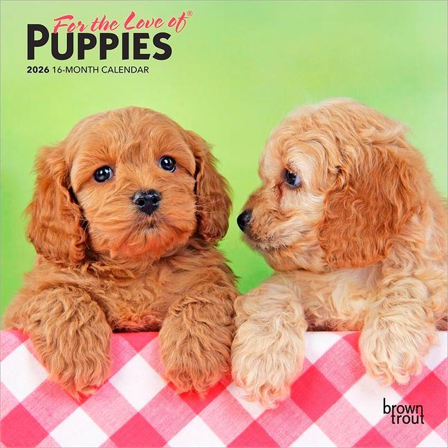 For The Love Of Puppies 2026 7 X 14 Inch (Hanging) Monthly Mini Wall Calendar