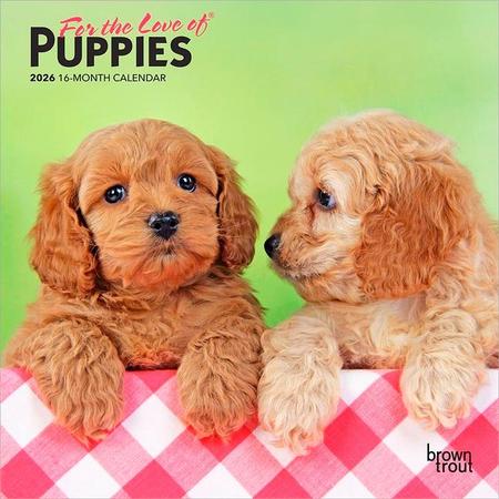 For the Love of Puppies 2026 7 X 14 Inch (Hanging) Monthly Mini Wall Calendar