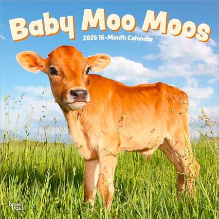 Baby Moo Moos 2026 12 X 24 Inch (Hanging) Monthly Square Wall Calendar Plastic-Free