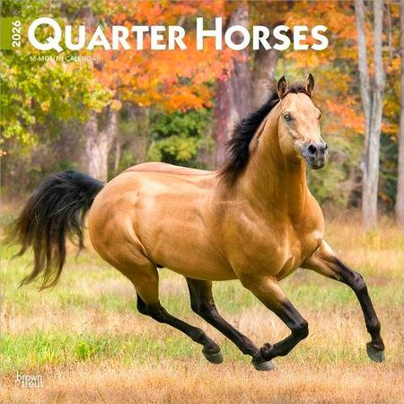 Quarter Horses 2026 12 X 24 Inch (Hanging) Monthly Square Wall Calendar Plastic-Free