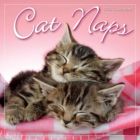 2026 Cat Naps Mini Calendar