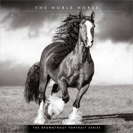 Browntrout Portrait Series: The Noble Horse 2026 12 X 24 Inch (Hanging) Monthly Square Wall Calendar Plastic-Free