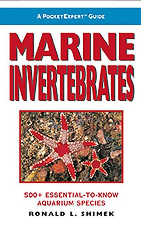 Marine Invertebrates: 500+ Essential-To-Know Aquarium Species