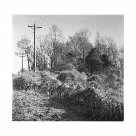 2010 The Medicine by John Mark McMillan, Coke Bottle Clear Vinyl LP
