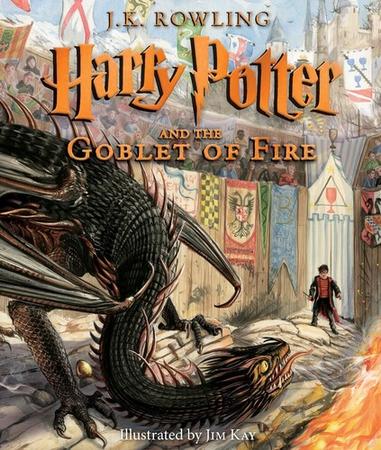 HARRY POTTER & GOBLET OF ILLUS