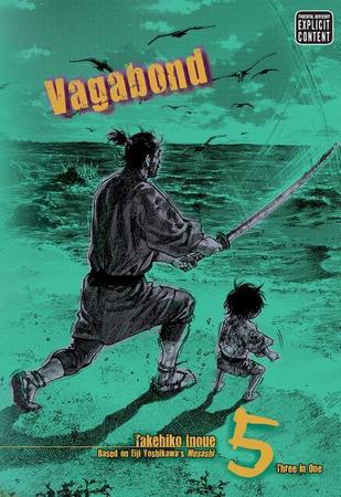 Vagabond (Vizbig Edition), Vol. 5