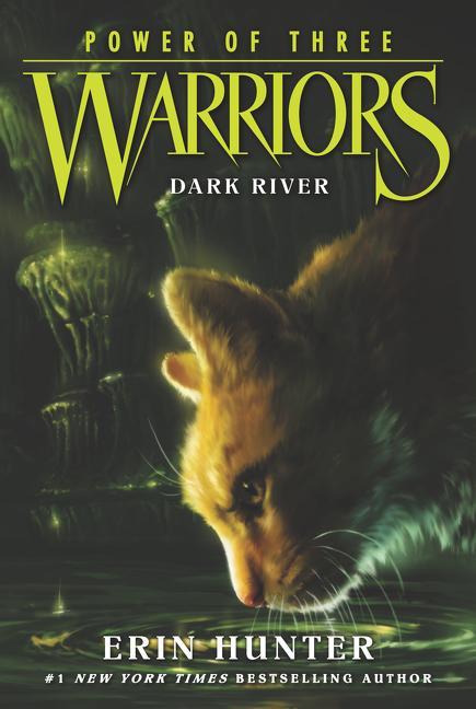 Warriors : Power Of Three # 2 : Dark River