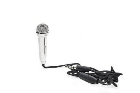 Worlds Smallest Karaoke Mic