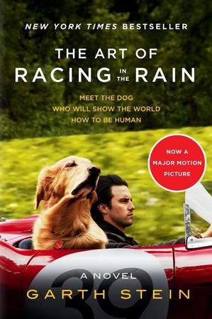 Art of Racing in the Rain Tie-In