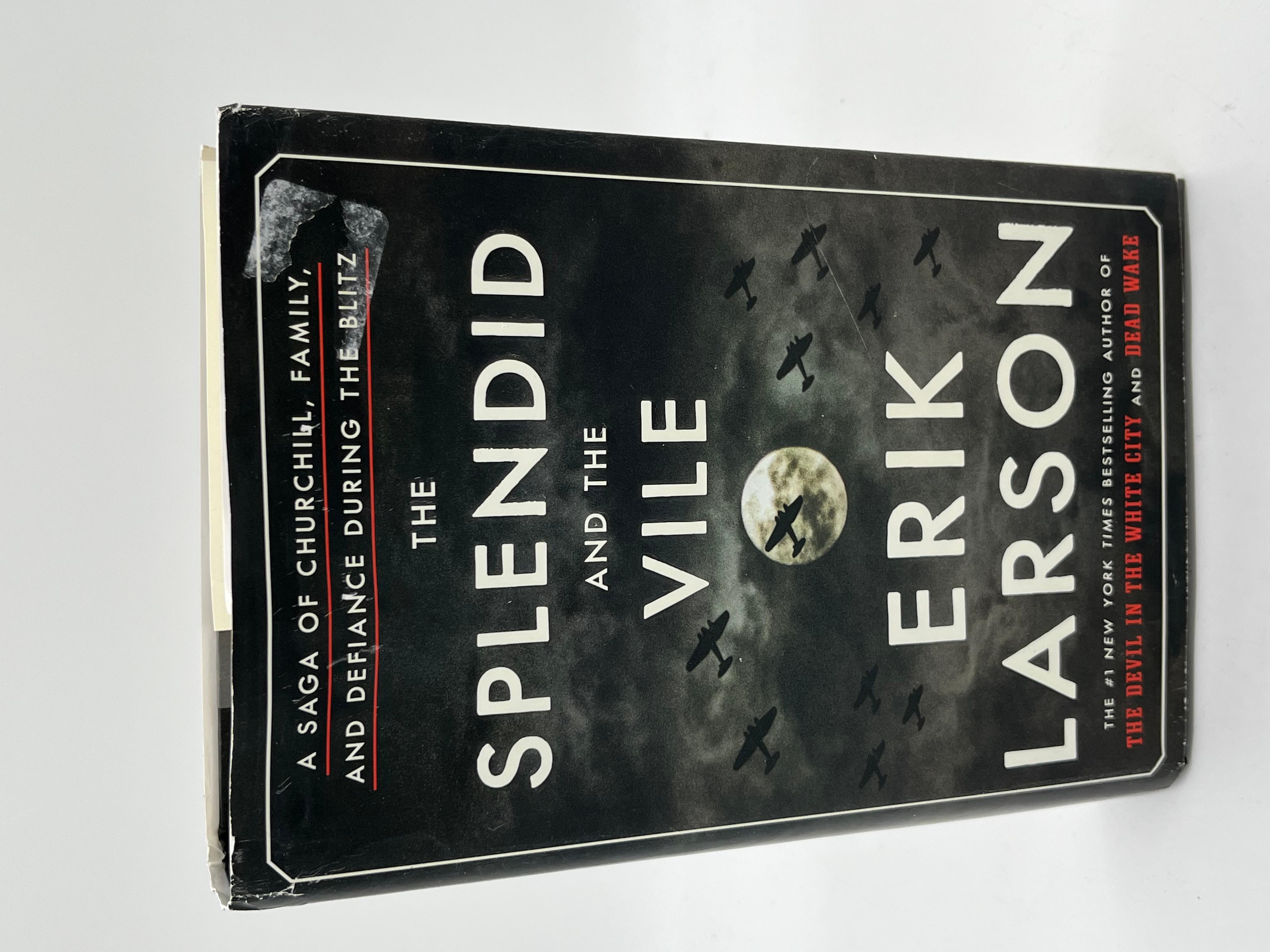 Splendid And The Vile Novel