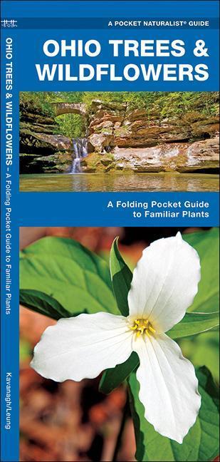Ohio Trees & Wildflowers : A Folding Pocket Guide To Familiar Plants