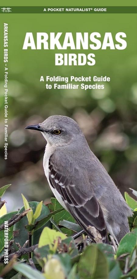 Arkansas Birds An Introduction