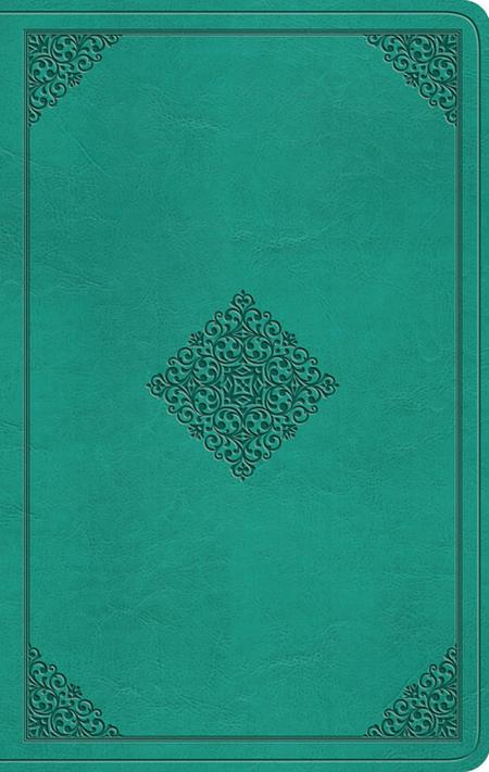 Bi-esv Thinline Teal