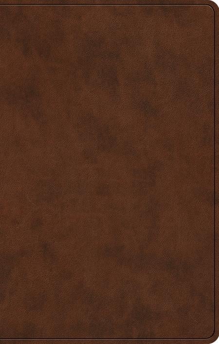 Bi-esv Premium Trutone Brown