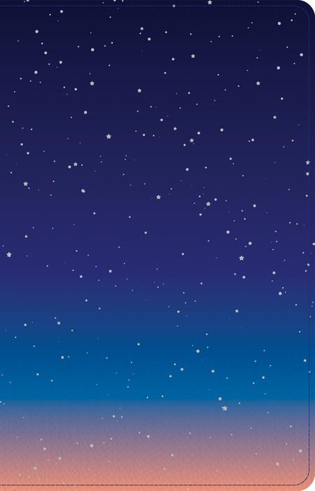 CSB Kids Bible, Thinline Edition, Space Leathertouch