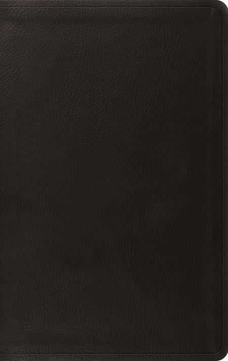 Bi-esv Value Thinline Black