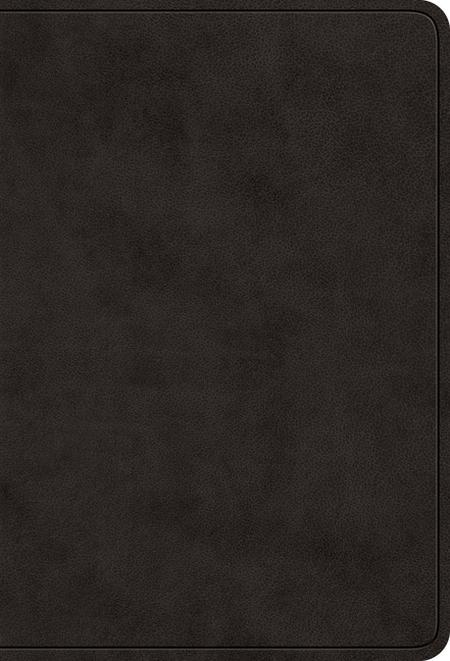 Bi-esv Value Lp