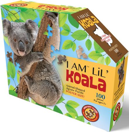 I AM LIL KOALA 100