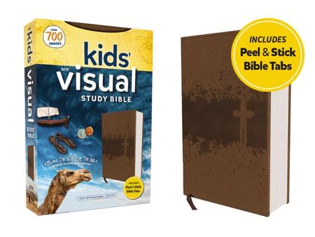 Bi-niv Kids Visual Study