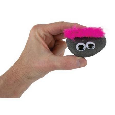 The Original Pet Rock