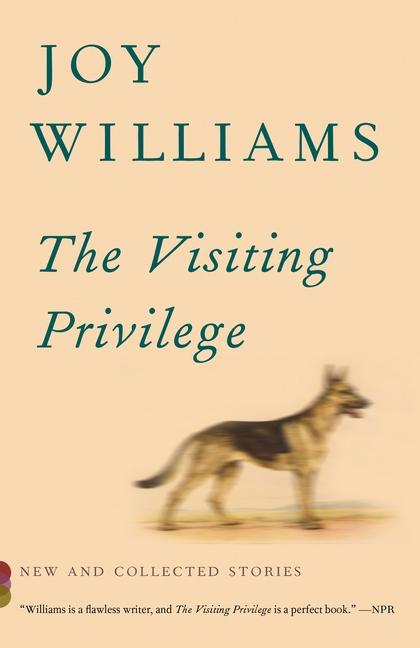 Visiting Privilege : New And Collected Stories