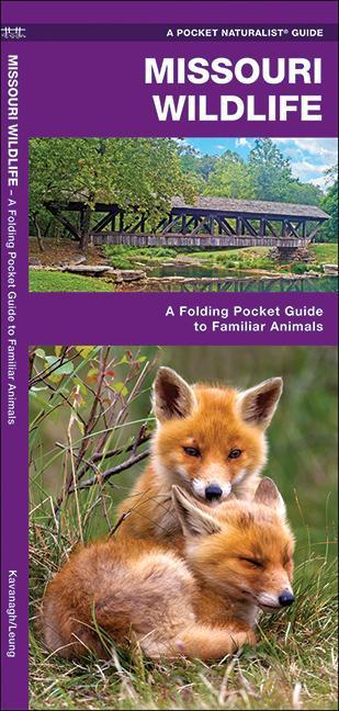 Missouri Wildlife : A Folding Pocket Guide To Familiar Animals