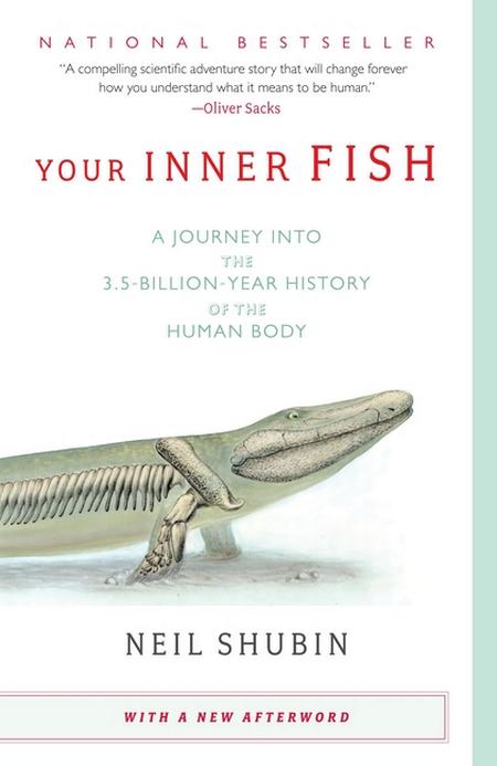 Your Inner Fish: A Journey Into the 3.5-Billion-Year History of the Human Body (Revised)