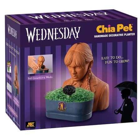 Chia Pet Thing Wednesday